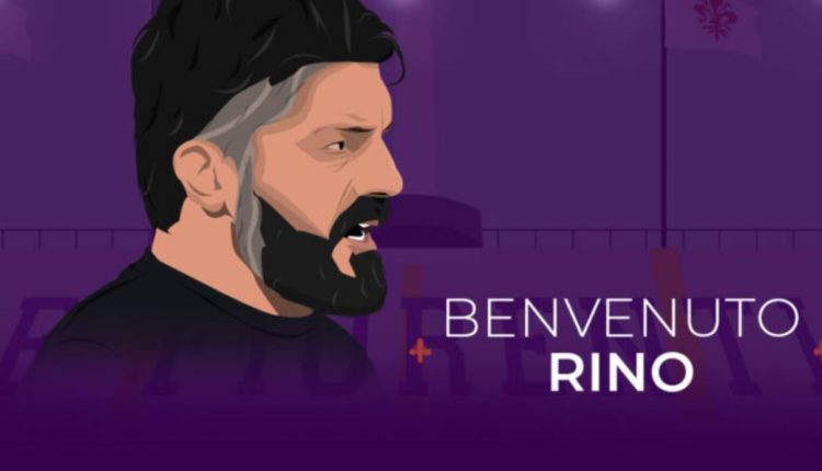 gattuso fiorentina