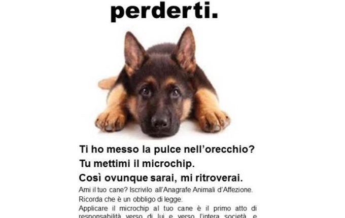 microchip copertina