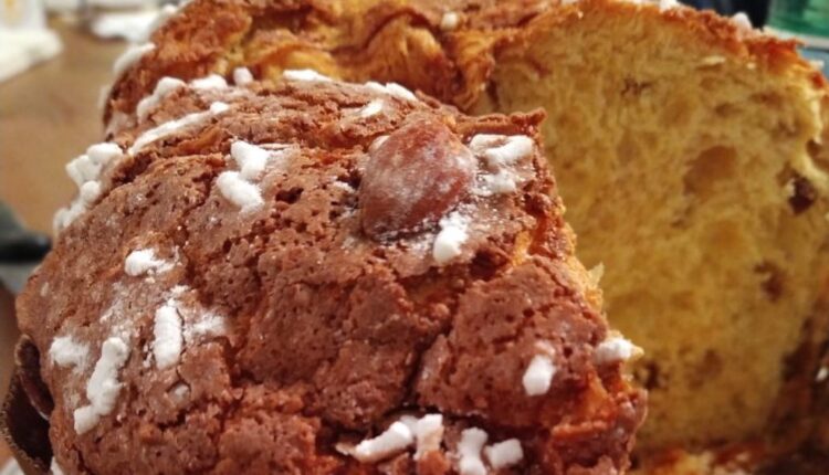 panettone