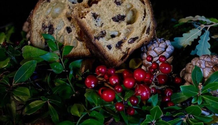 panettone concorso