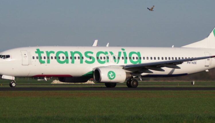 transavia